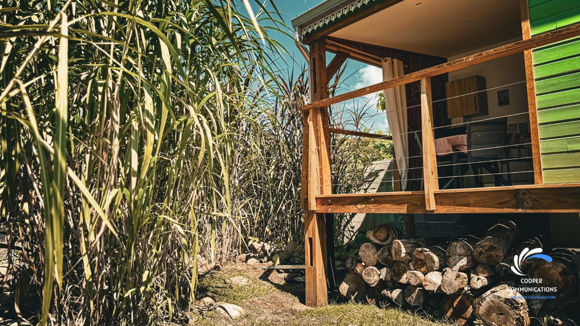 Chalet Tikaz Sandjo Noël 外观 照片